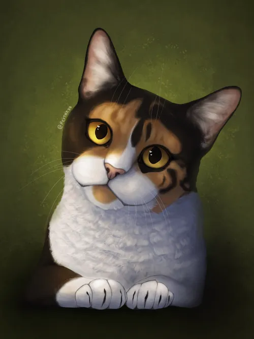 feytress