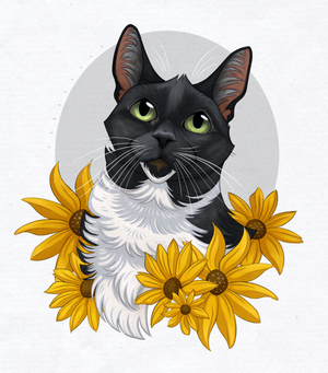 peipei_the_cat_by_terrafoxe.e1f3290.png